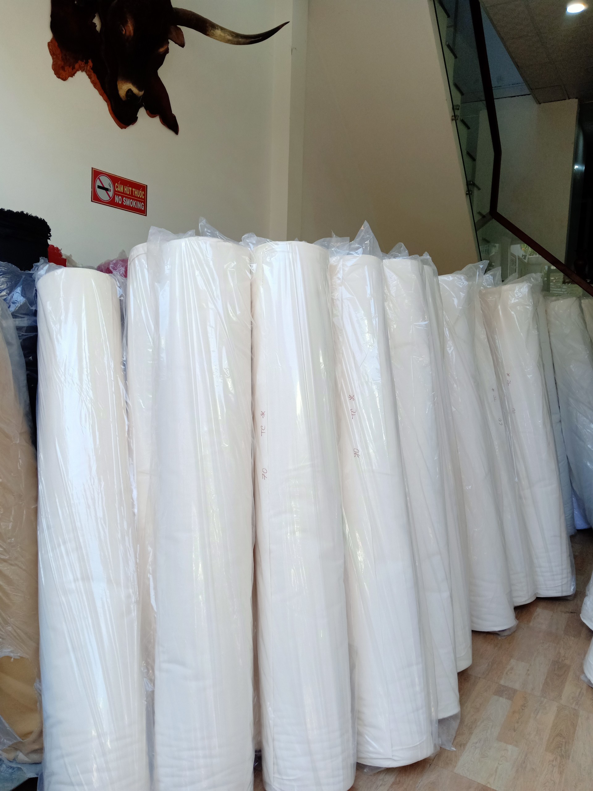vải canvas trắng