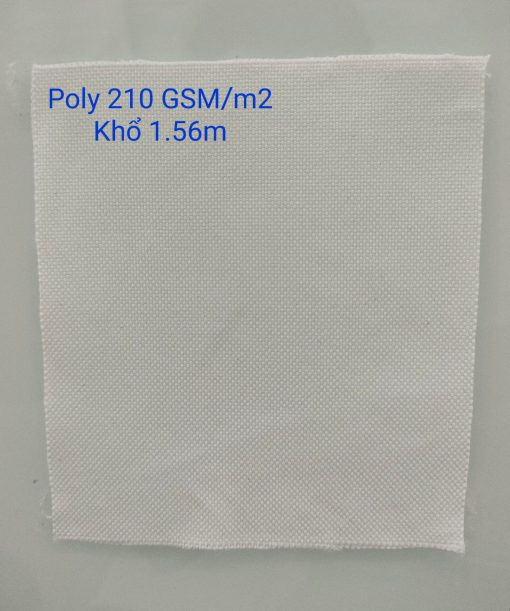Canvas Poly